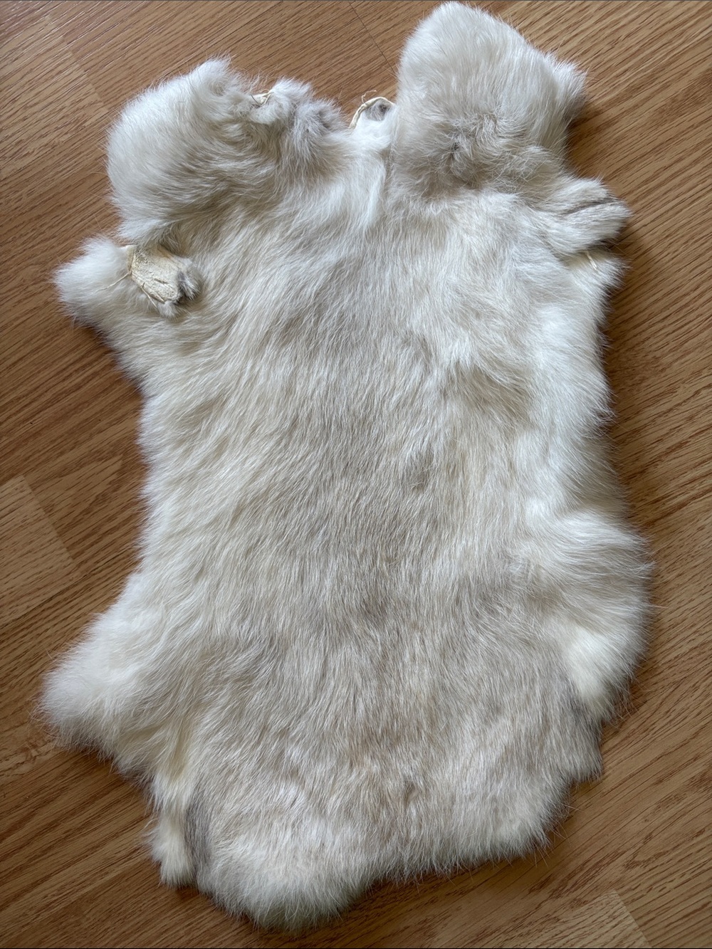 C0021 rabbit fur pelt craft supply soft guaranteed